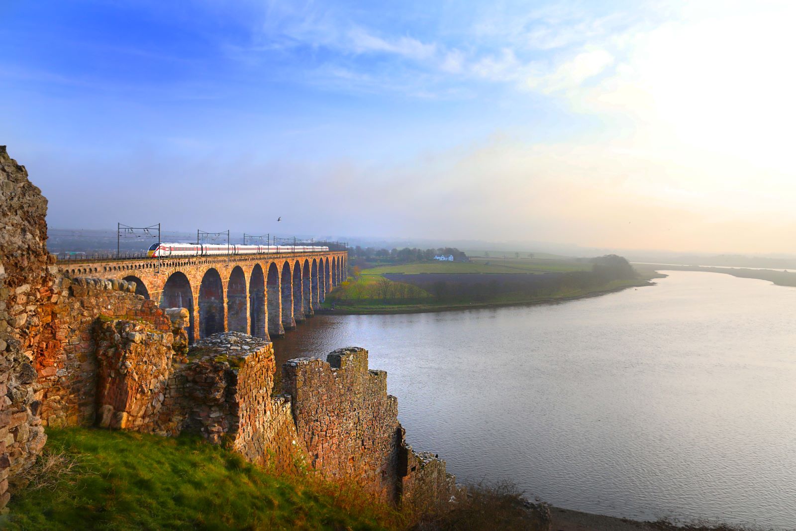 COVID-19 Vaccine Sparks Interest In Domestic Travel Plans With Family Visits Topping The List